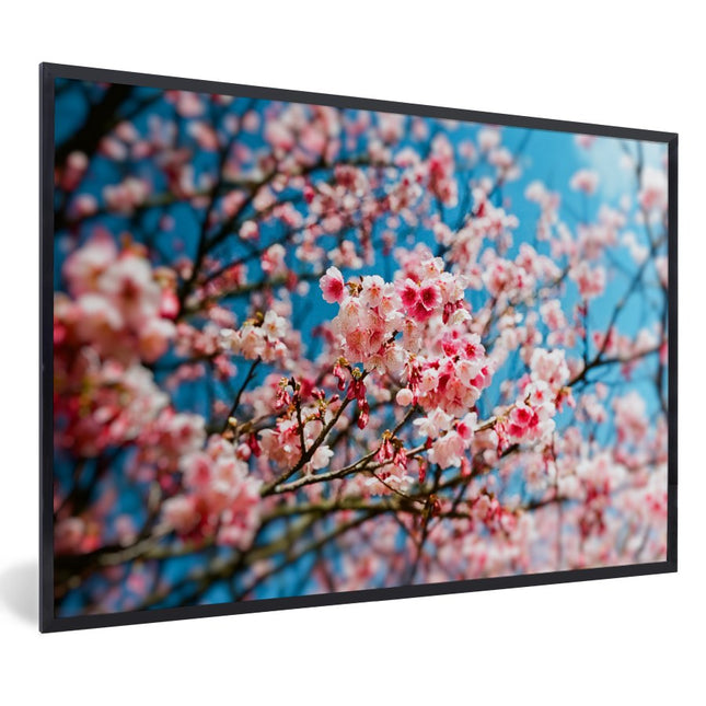 Poster in Lijst Lente Sakura