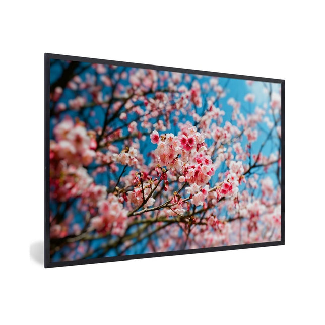 Poster in Lijst Lente Sakura