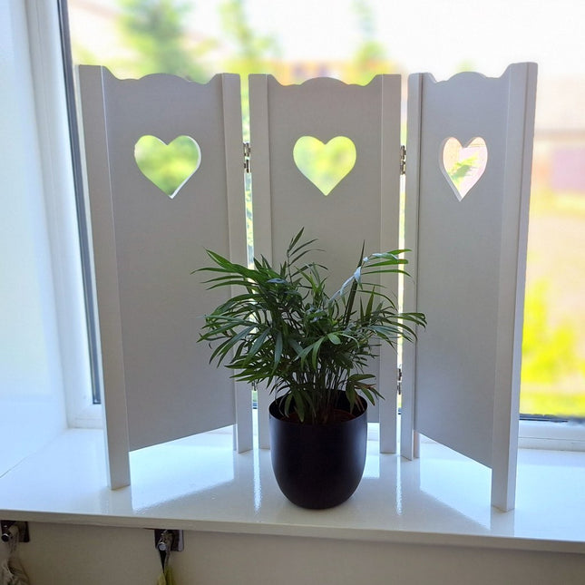 Raamscherm voor plant