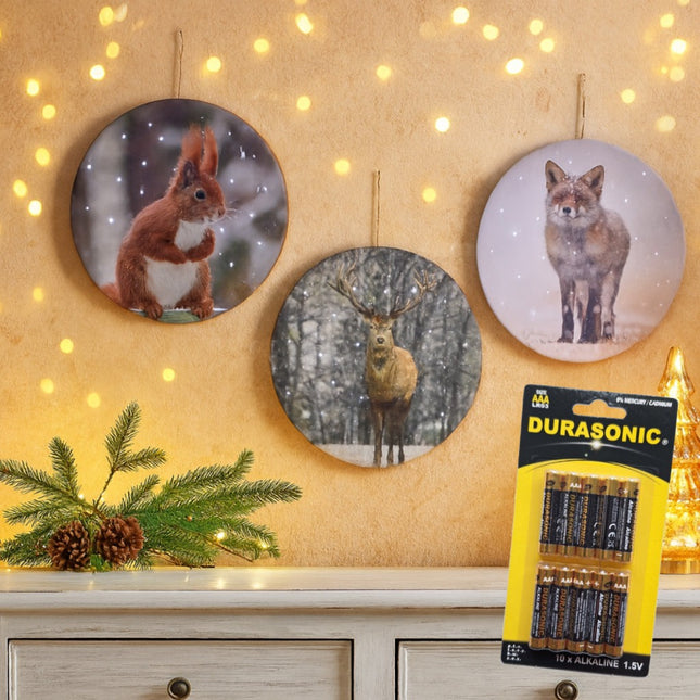 LED Canvas Schilderij Eekhoorn - Vos - Rendier